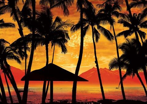 Снимка на заглавието на OnlyFans carolina.lassnibatt