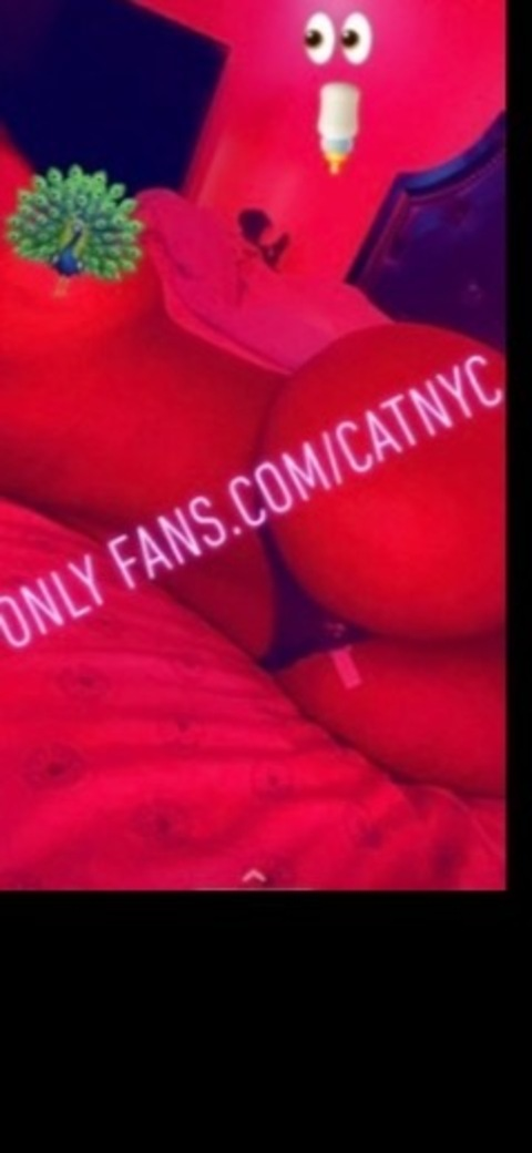 Gambar header OnlyFans catnyc
