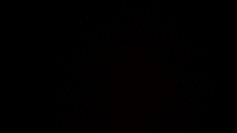 Immagine dell'intestazione OnlyFans cece-rose