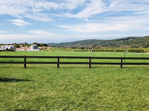 OnlyFans हेडर चित्र celeb