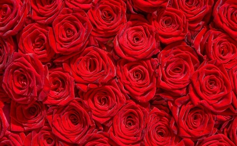 Imagen de encabezado de OnlyFans de charll