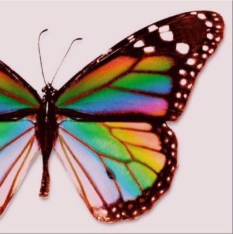 Obraz w nagłówku OnlyFans chocolatehighh__