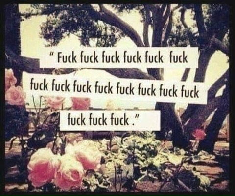 Foto de cabeçalho do OnlyFans chubbybbykitty