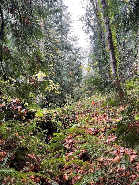 Foto de cabeçalho do OnlyFans collegebro4you