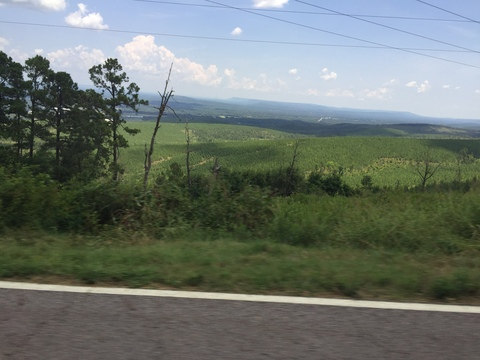 Картинка шапки OnlyFans crimsonrose