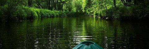 OnlyFans Header Bild curvyana