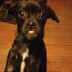 OnlyFansのプロフィール画像 dallas