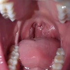 OnlyFans profil fotoğrafı dana.the.lady.vore