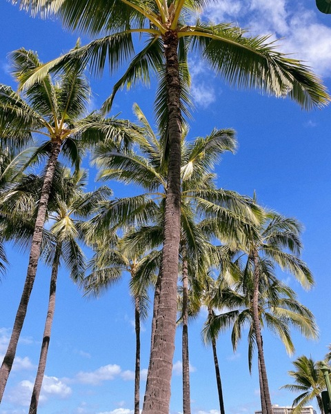 OnlyFans başlık resmi #kullanıcıadı#