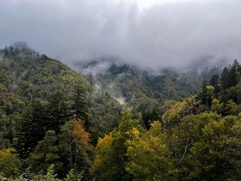 Foto de cabeçalho do OnlyFans daniellewiild