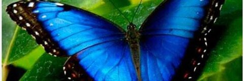 Obraz w nagłówku OnlyFans dayi2715