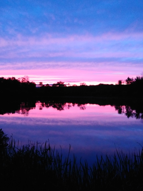 Obraz w nagłówku OnlyFans ddy_alex