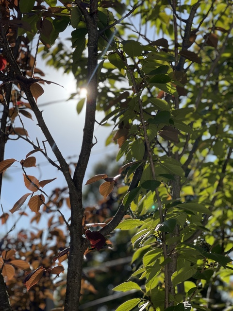 Immagine dell'intestazione OnlyFans deathstrokedaddy