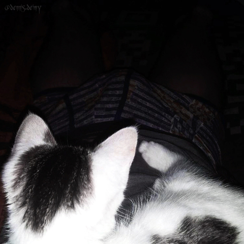 오직 팬들만 볼 수 있는 dennis_deimy의 헤더 사진