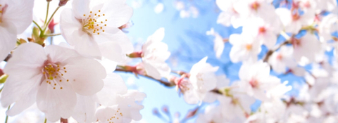 Foto de cabeçalho do OnlyFans divinebrat