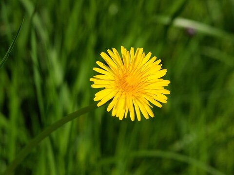 OnlyFans başlık resmi #kullanıcıadı#