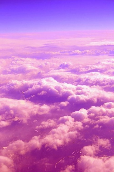 OnlyFans Header Bild dollysky