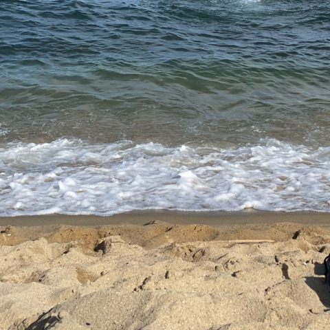 OnlyFans Header Bild domhairy