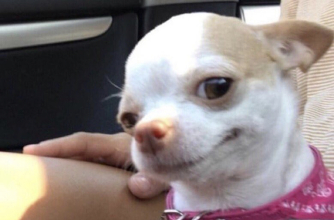 OnlyFans Header Bild dreezydreaa