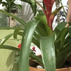 Профилна снимка на OnlyFans за ds6789