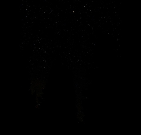 Снимка на заглавието на OnlyFans ds6789