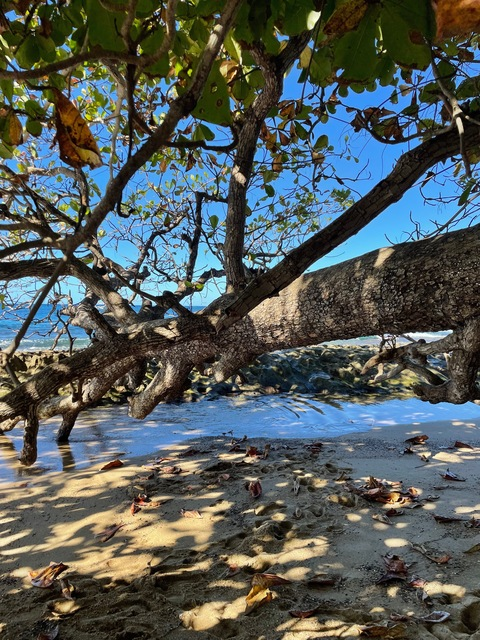 OnlyFans हेडर चित्र eastcoastcrf