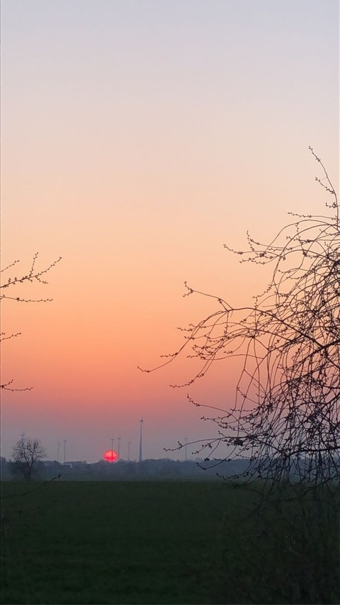 Obraz w nagłówku OnlyFans eklektyzm