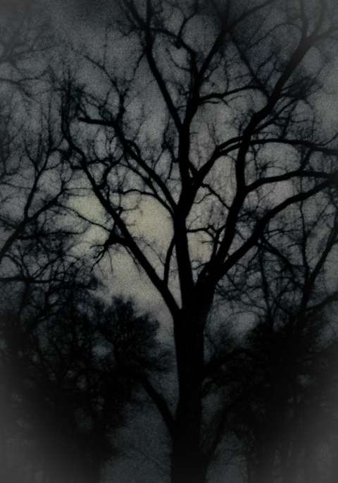 Imagen de encabezado de OnlyFans de eldiresstreet