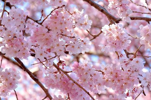 OnlyFans başlık resmi #kullanıcıadı#