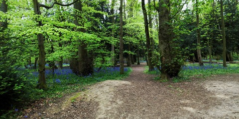 Снимка на заглавието на OnlyFans emily-nightt