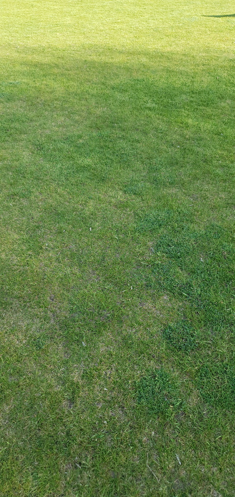 Immagine dell'intestazione OnlyFans energy1721