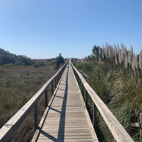 Foto de cabeçalho do OnlyFans epdtravels