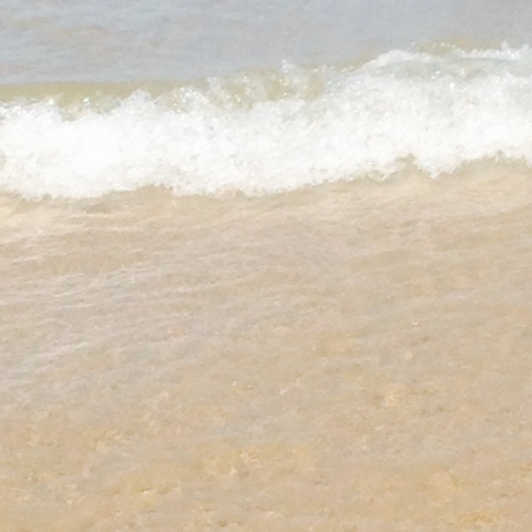 Gambar header OnlyFans erotica_1