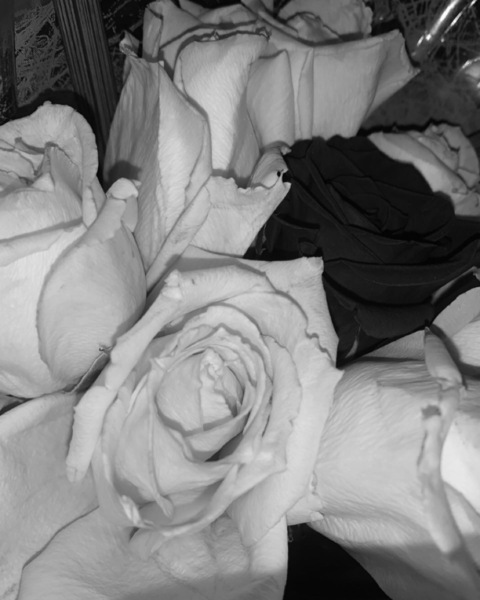 OnlyFansのヘッダー画像 ezzyleetv