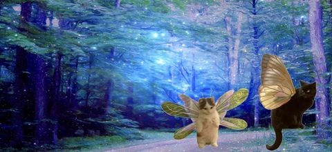 صورة رأس OnlyFans fauxfae