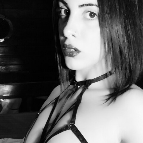 Картинка шапки OnlyFans flormicol