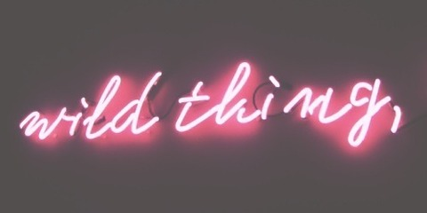 OnlyFans Header Bild fordisplayonly