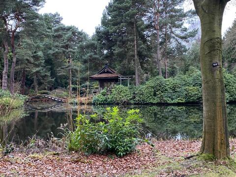 Obraz w nagłówku OnlyFans forest_green91