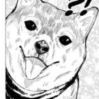 Gambar profil OnlyFans foreverwandering