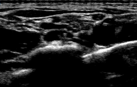 Gambar header OnlyFans fr8siren