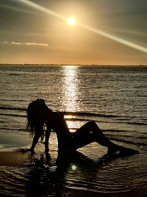 Gambar header OnlyFans freebirdvip