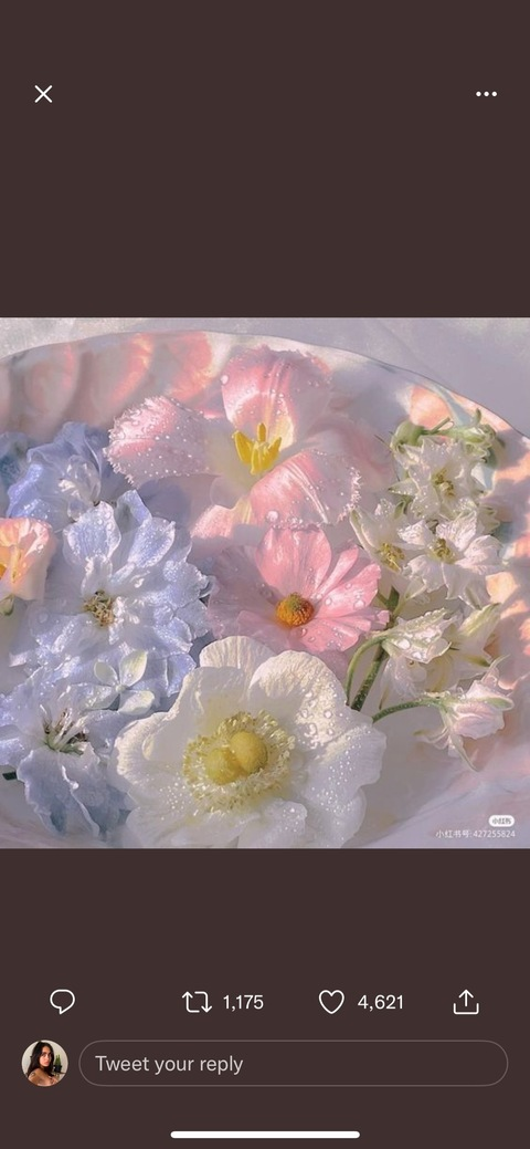 Immagine dell'intestazione OnlyFans gaiaembodiment