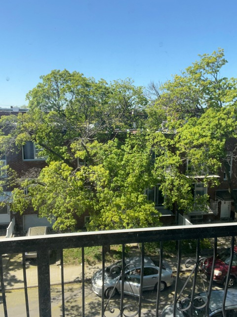 OnlyFans Header Bild gattouz0