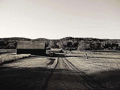 Obraz w nagłówku OnlyFans gemwiththecurves