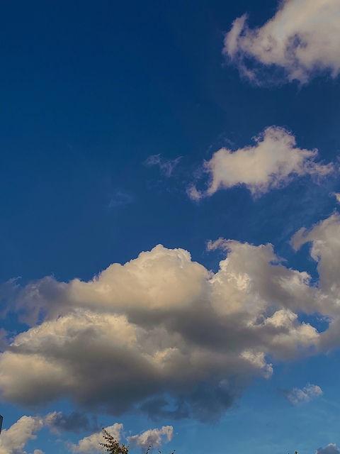 صورة رأس OnlyFans glitterdollll