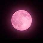 Profilbild bei OnlyFans von goddesstouch619