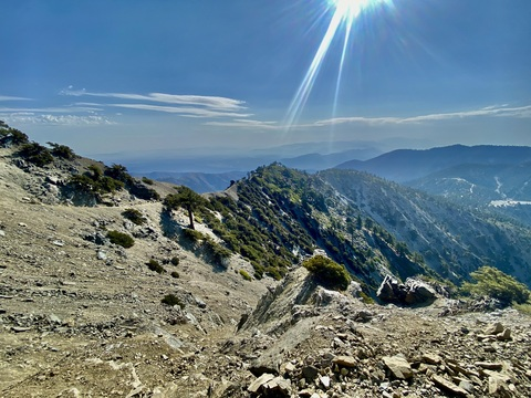 OnlyFans Header Bild godsharkxxx