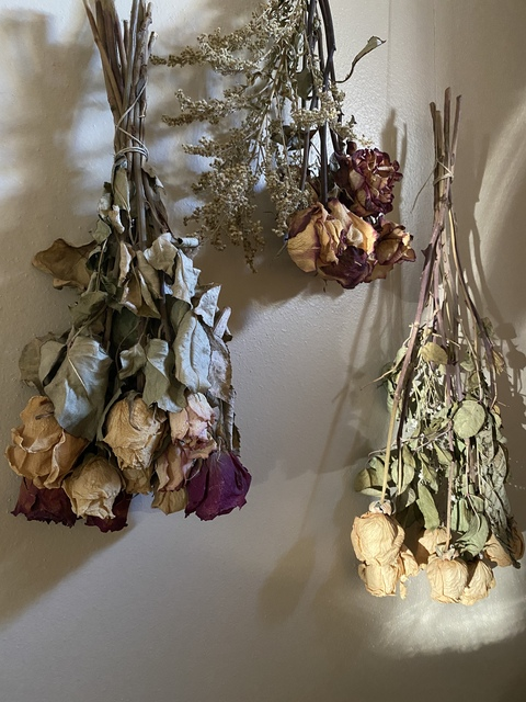 Снимка на заглавието на OnlyFans gothprincess00