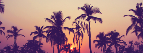 Снимка на заглавието на OnlyFans grandstrategyyea