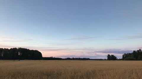 Снимка на заглавието на OnlyFans hanna_panda